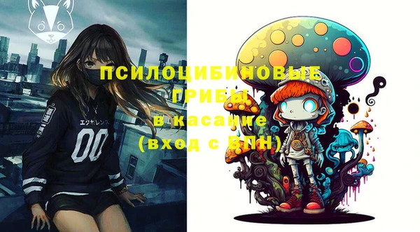 соль ск Балабаново