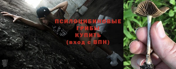 соль ск Балабаново