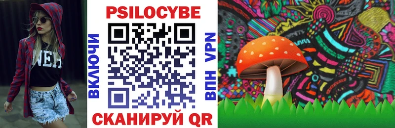 Купить где  Судогда  Галлюциногенные грибы прущие грибы 